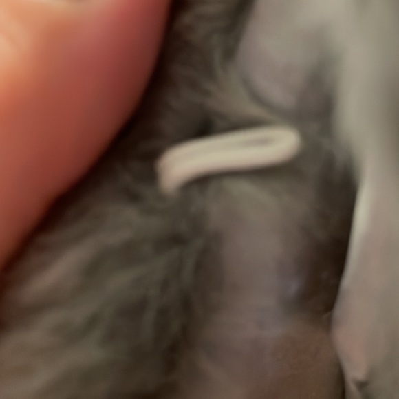 Fur wrap - Picture 4 of 4